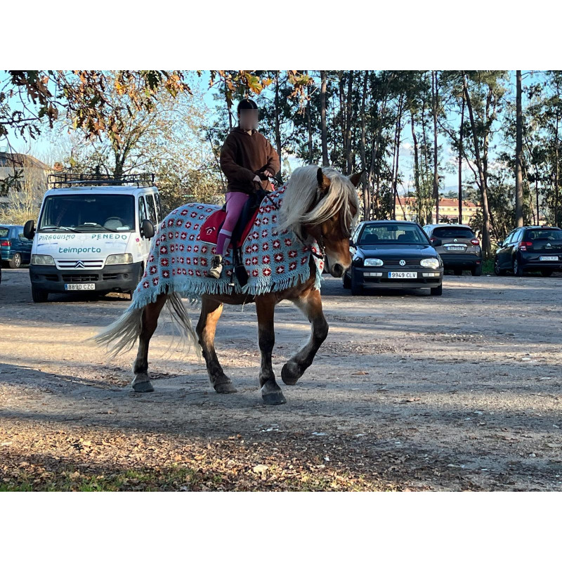 Yegua Hispano Bretona