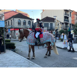 Yegua Hispano Bretona