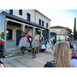 Yegua Hispano Bretona