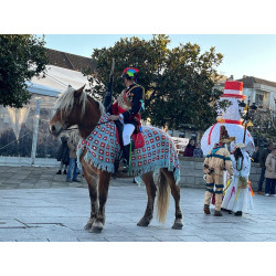 Yegua Hispano Bretona