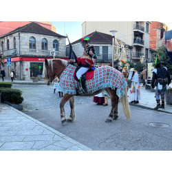 Yegua Hispano Bretona