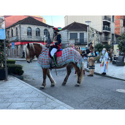 Yegua Hispano Bretona