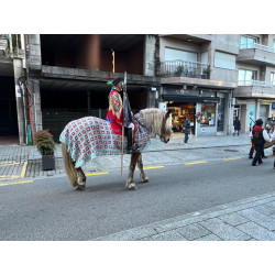 Yegua Hispano Bretona