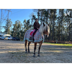 Yegua Hispano Bretona