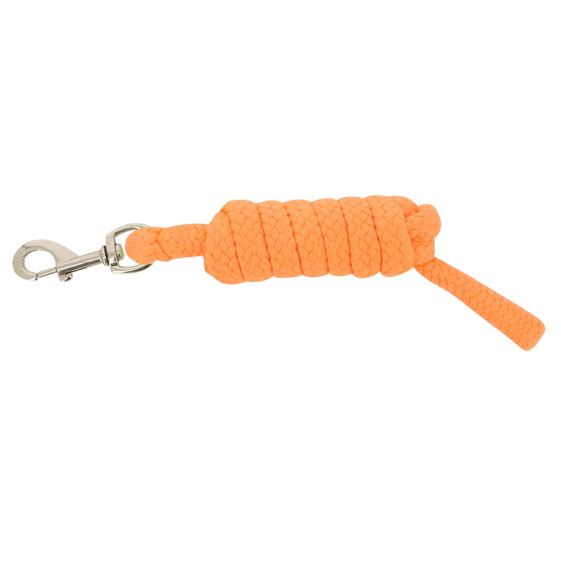 Ramal Neon 2m