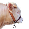 Cabezada Vaca Con Cadena