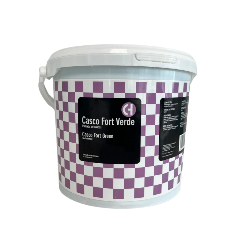 Casco Fort Verde