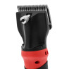 Esquiladora Caballos Bateria Hippotonic ST-X1H Pro