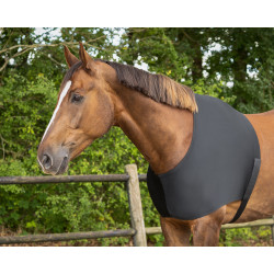 Protector Elastico