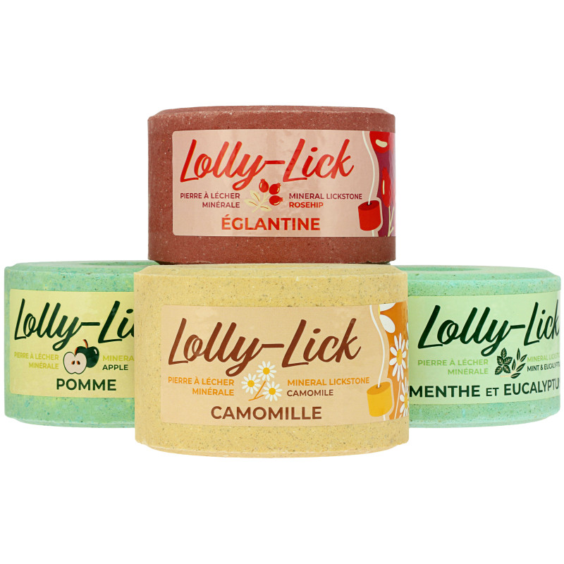 Piedra Sal Lolly-Lick Sabores
