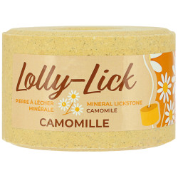 Piedra Sal Lolly-Lick Sabores