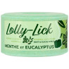 Piedra Sal Lolly-Lick Sabores