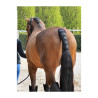 Cubrecola Neopreno Equiline Noll
