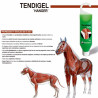 Tendigel Hanger