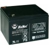 Batería Recargable 12 V 12 Ah