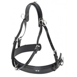 Pecherin Classic Individual PONY
