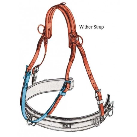 Correa Classis Wither PONY