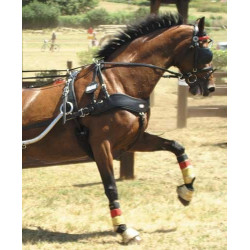 Set pechopetral EMPATHY MK3 individual - MINI PONY