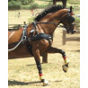 Set pechopetral EMPATHY MK3 individual - MINI PONY