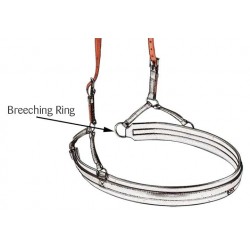 Correas de retranca Arnes ELITE / CLASSIC par PONY