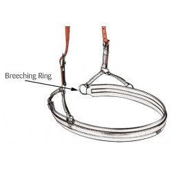 Correas de retranca Arnes ELITE / CLASSIC par FULL
