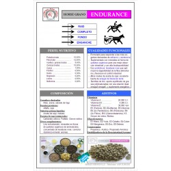 Horse GRANO ENDURANCE