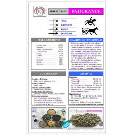 Horse GRANO ENDURANCE