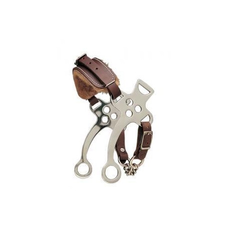 Bocado Hackamore Corto