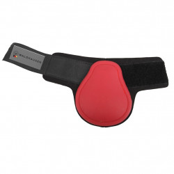 Protector trasero ECO