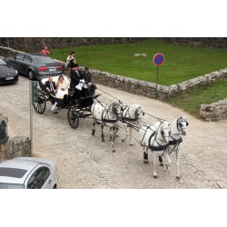 Casamento com  4 cavalos