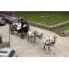 carruaje caballos bodas, carro ceremonia, eventos, comunión, Galicia