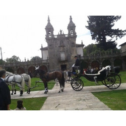 carruaje caballos bodas, carro ceremonia, eventos, comunión, Galicia