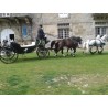 Casamento com  4 cavalos