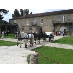 Casamento com  4 cavalos