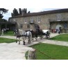 carruaje caballos bodas, carro ceremonia, eventos, comunión, Galicia