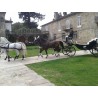 Casamento com  4 cavalos