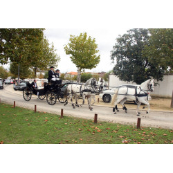 Casamento com  4 cavalos