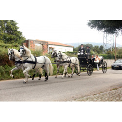carruaje caballos bodas, carro ceremonia, eventos, comunión, Galicia