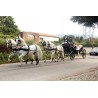 carruaje caballos bodas, carro ceremonia, eventos, comunión, Galicia