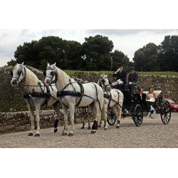 Casamento com  4 cavalos