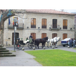 Casamento com  4 cavalos