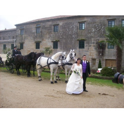 Casamento com  4 cavalos