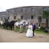 Casamento com  4 cavalos