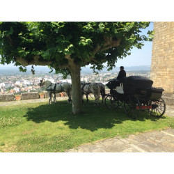 carruaje caballos bodas, carro ceremonia, eventos, comunión, Galicia