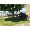 carruaje caballos bodas, carro ceremonia, eventos, comunión, Galicia