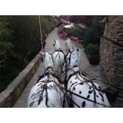 carruaje caballos bodas, carro ceremonia, eventos, comunión, Galicia