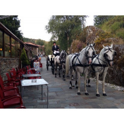 carruaje caballos bodas, carro ceremonia, eventos, comunión, Galicia