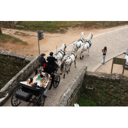 Casamento com  4 cavalos