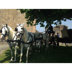carruaje caballos bodas, carro ceremonia, eventos, comunión, Galicia