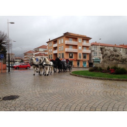 carruaje boda caballos, carro ceremonia, evento, comunión Galicia